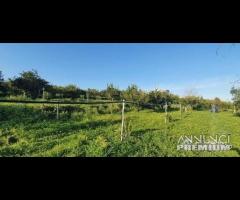 Terreno 15.000mq a Piedimonte Etneo