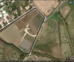 Terreno agricolo edificabile in zona Limoneto