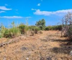 Terreno agricolo 3.800 mq panoramico a san gerardo