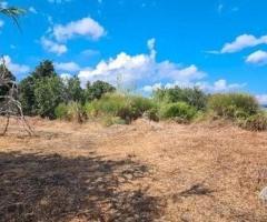 Terreno agricolo 3.800 mq panoramico a san gerardo