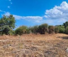 Terreno agricolo 3.800 mq panoramico a san gerardo