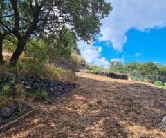 Terreno agricolo 3.800 mq panoramico a san gerardo - 9