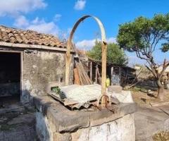 Rustico -casa singola con terreno a macchia