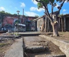 Rustico -casa singola con terreno a macchia - 6