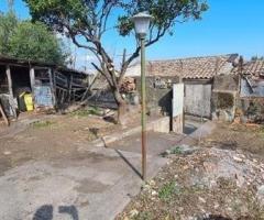 Rustico -casa singola con terreno a macchia - 11