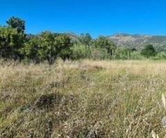 Terreno agricolo 5.000mq Castiglione di Sicilia