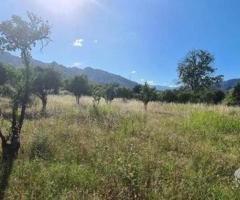 Terreno agricolo 5.000mq Castiglione di Sicilia