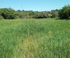 Terreno a Palazzolo Acreide