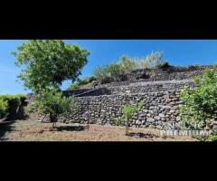 Proprietà con casa,terreno a Nunziata di Mascali - 16