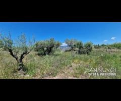 Proprietà con casa,terreno Castiglione di Sicilia - 10