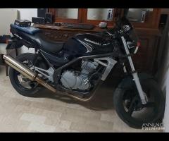 Kawasaki ER-5 500 CC  MOLTO AGGRESSIVA E VELOCE 08