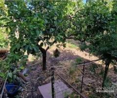 Casa singola ristrutturata con giardino a Riposto - 16