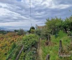 Casa di campagna con terreno a Puntalazzo