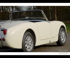 Cerchi minilite 13 mg midget austin healey sprite