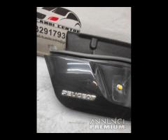 PORTELLONE BAULE SPONDA INFERIORE PEUGEOT 207 GT C - 21