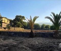 Terreno 15.000mq con fabbricati a Piedimonte Etneo