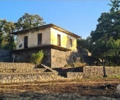 Terreno 15.000mq con fabbricati a Piedimonte Etneo