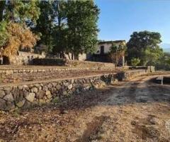 Terreno 15.000mq con fabbricati a Piedimonte Etneo