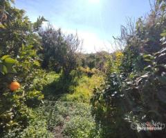 Terreno agricolo di 1.000 mq. circa Mascalucia Zon - 6