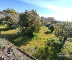 Terreno agricolo di 1.000 mq. circa Mascalucia Zon - 10