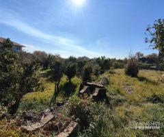 Terreno agricolo di 1.000 mq. circa Mascalucia Zon - 13