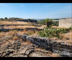 Masseria Contrada Riggio - 22