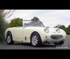 Cerchi minilite 13 mg midget austin healey sprite