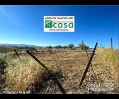 Rif.TA41|Terreno agricolo Caltanissetta