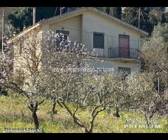 Rif.VL74|Villa San Cataldo - 5