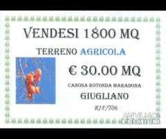 Terreno agricola 1800 mq a Giugliano in Campania