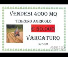 Terreno agricolo di 4000 mq a Varcaturo - 1