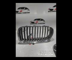 GRIGLIA PARAURTI SINISTRA BMW SERIE 5 F10 2011 720