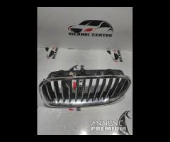 GRIGLIA PARAURTI SINISTRA BMW SERIE 5 F10 2011 720