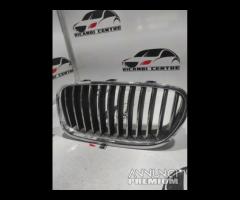 GRIGLIA PARAURTI SINISTRA BMW SERIE 5 F10 2011 720