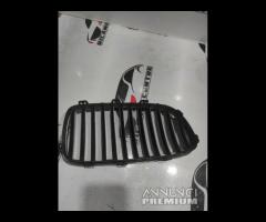 GRIGLIA PARAURTI SINISTRA BMW SERIE 5 F10 2011 720 - 10