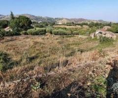 Terreno agricolo con fabbricati a Piedimonte Etneo