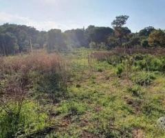 Terreno agricolo con fabbricati a Piedimonte Etneo