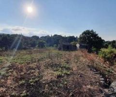 Terreno agricolo con fabbricati a Piedimonte Etneo - 5