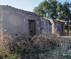 Terreno agricolo con fabbricati a Piedimonte Etneo - 7