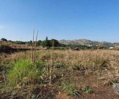 Terreno agricolo con fabbricati a Piedimonte Etneo - 8