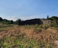 Terreno agricolo con fabbricati a Piedimonte Etneo - 9