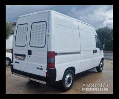 Fiat Ducato 2.5 TD TRASPORTO ANIMALI VIVI - 12