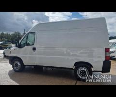 Fiat Ducato 2.5 TD TRASPORTO ANIMALI VIVI - 13