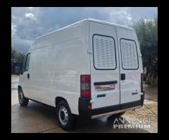 Fiat Ducato 2.5 TD TRASPORTO ANIMALI VIVI - 14