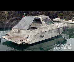 SEA RAY 350 DA - MERCRUISER D4.2 L Diesel 300 CV