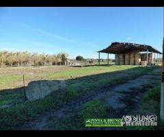 Siamaggiore terreno con capannoni agricoli - 7