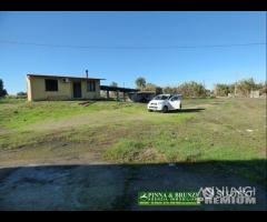 Siamaggiore terreno con capannoni agricoli - 8