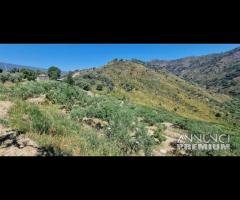 Terreno con fabbricati e rustici Piedimonte Etneo