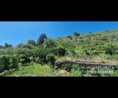 Terreno con fabbricati e rustici Piedimonte Etneo - 9