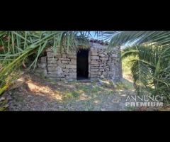 Terreno con fabbricati e rustici Piedimonte Etneo - 10